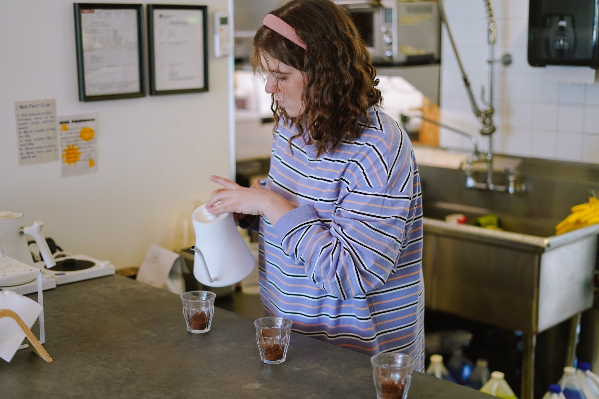 Water Chemistry: what's the best water for your brew?