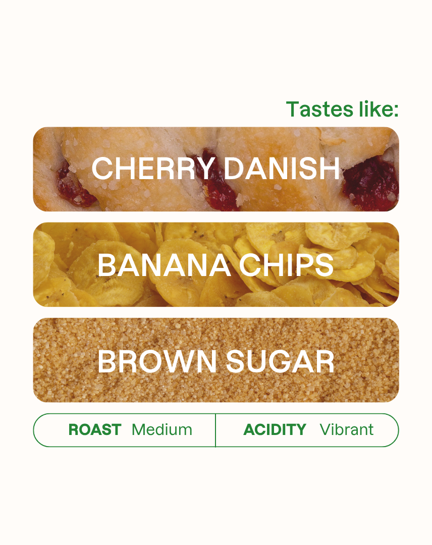 Easy Mode Espresso