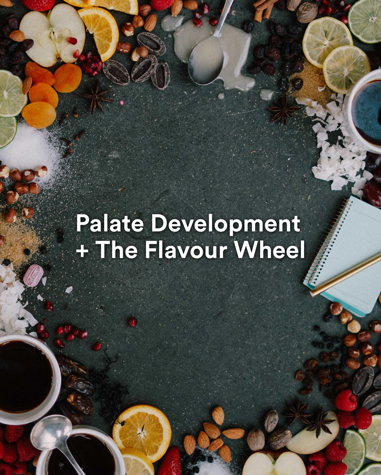 Palate Development + the Flavour Wheel