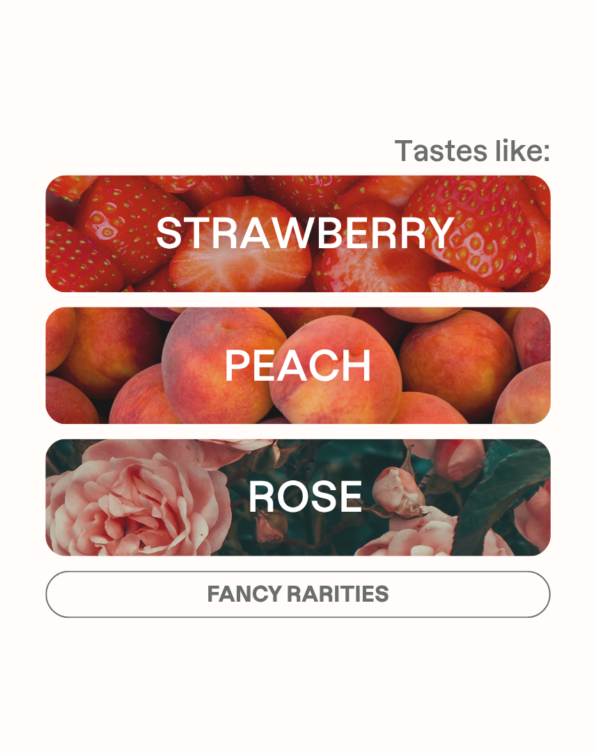 Tasting note graphic for Finca Deborah Afterglow filter coffee highlighting Strawberry, Peach, and Rose flavors