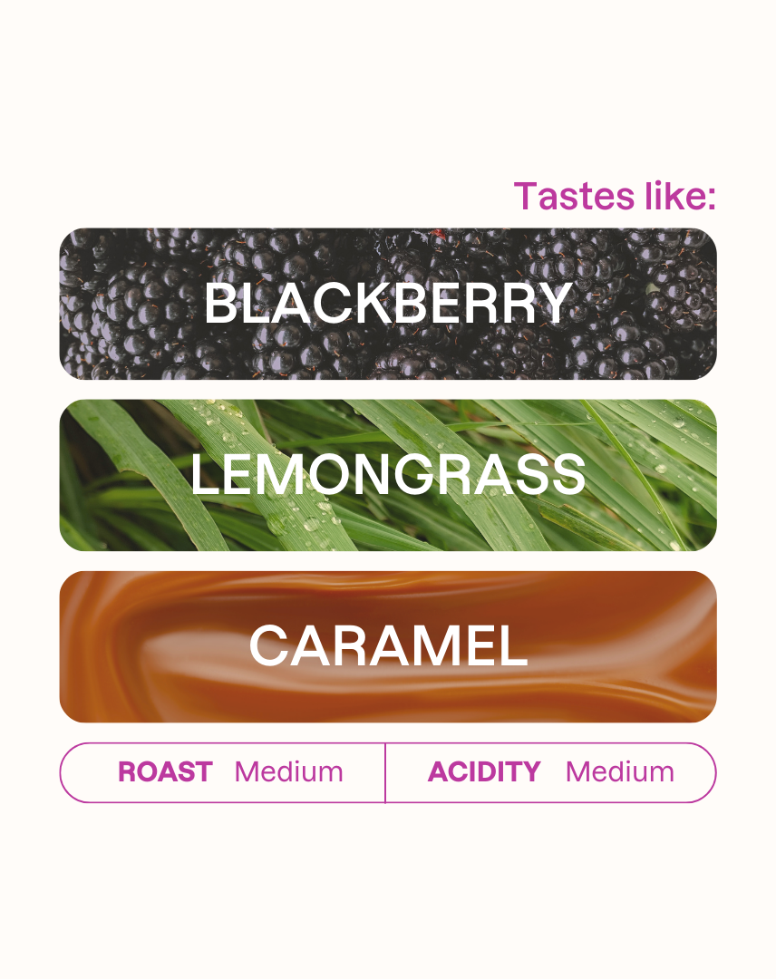 Javier Quintero Espresso