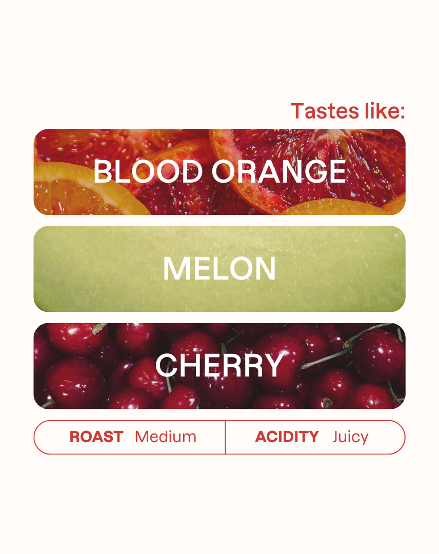 Tasting note graphic for Carlos Cadena coffee featuring horizontal bars for Blood Orange, Melon, and Cherry flavors.