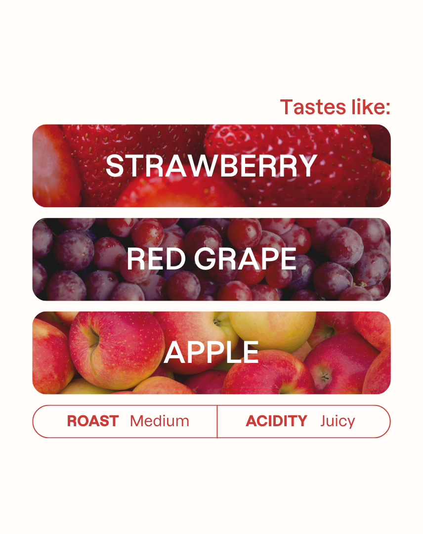 Tasting note graphic for Carmen Estate Natural coffee highlighting Strawberry, Red Grape, and Apple flavors.