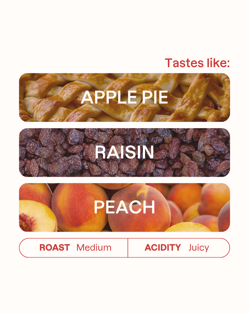 Tasting note graphic for David Mamani filter coffee highlighting Apple Pie, Raisin, and Peach flavors.