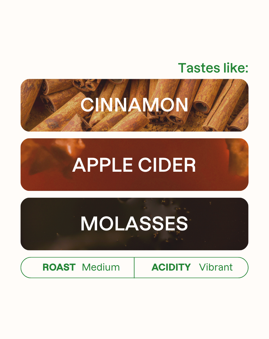 Tasting note graphic for Delmar Salas coffee featuring horizontal bars for Cinnamon, Apple Cider, and Molasses flavors