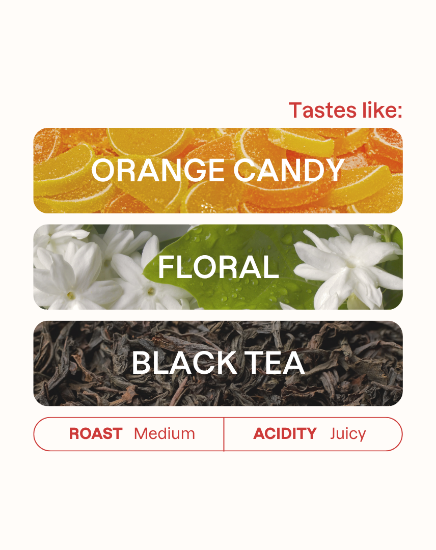 Tasting note graphic for Finca Inmaculada coffee highlighting Orange Candy, Floral, and Black Tea flavors.