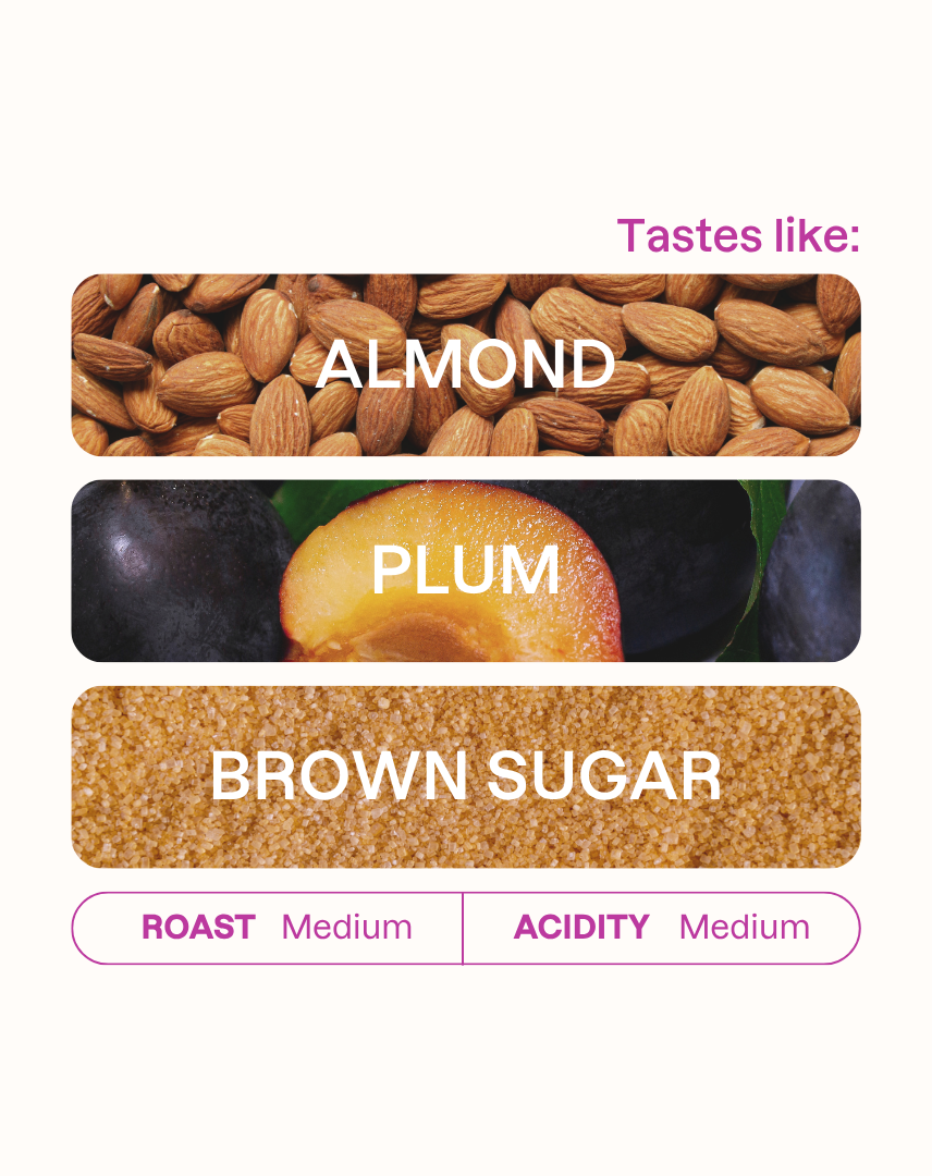 Tasting note graphic for Kenia Gomez coffee highlighting Almond, Plum, and Brown Sugar flavors.