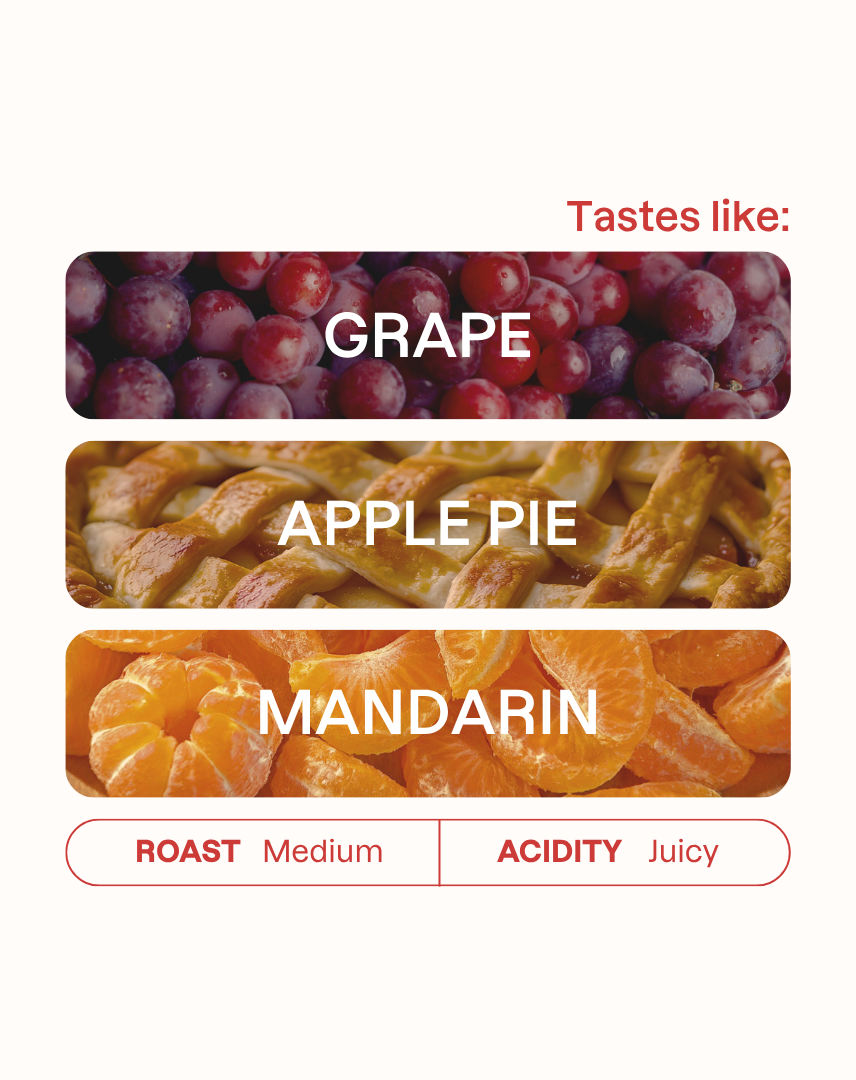 Tasting note graphic for Waliki Natural coffee highlighting Grape, Apple Pie, and Mandarin flavors.
