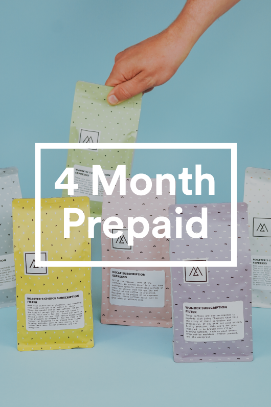 4 Month Prepaid Subscription