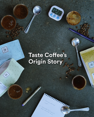 Taste Coffee’s Origin Story (Mar 20 2024)