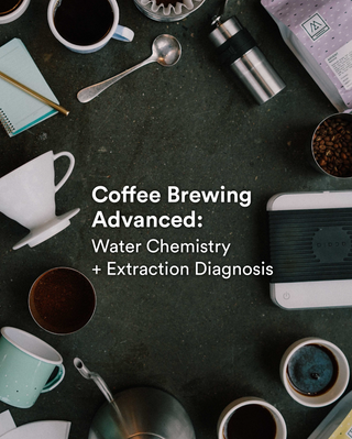 Coffee Brewing Advanced (June 5 2024)
