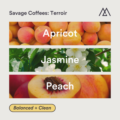 Savage Coffees: Terroir