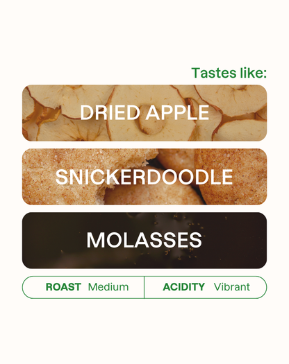 Figgy Pudding Holiday Blend Espresso