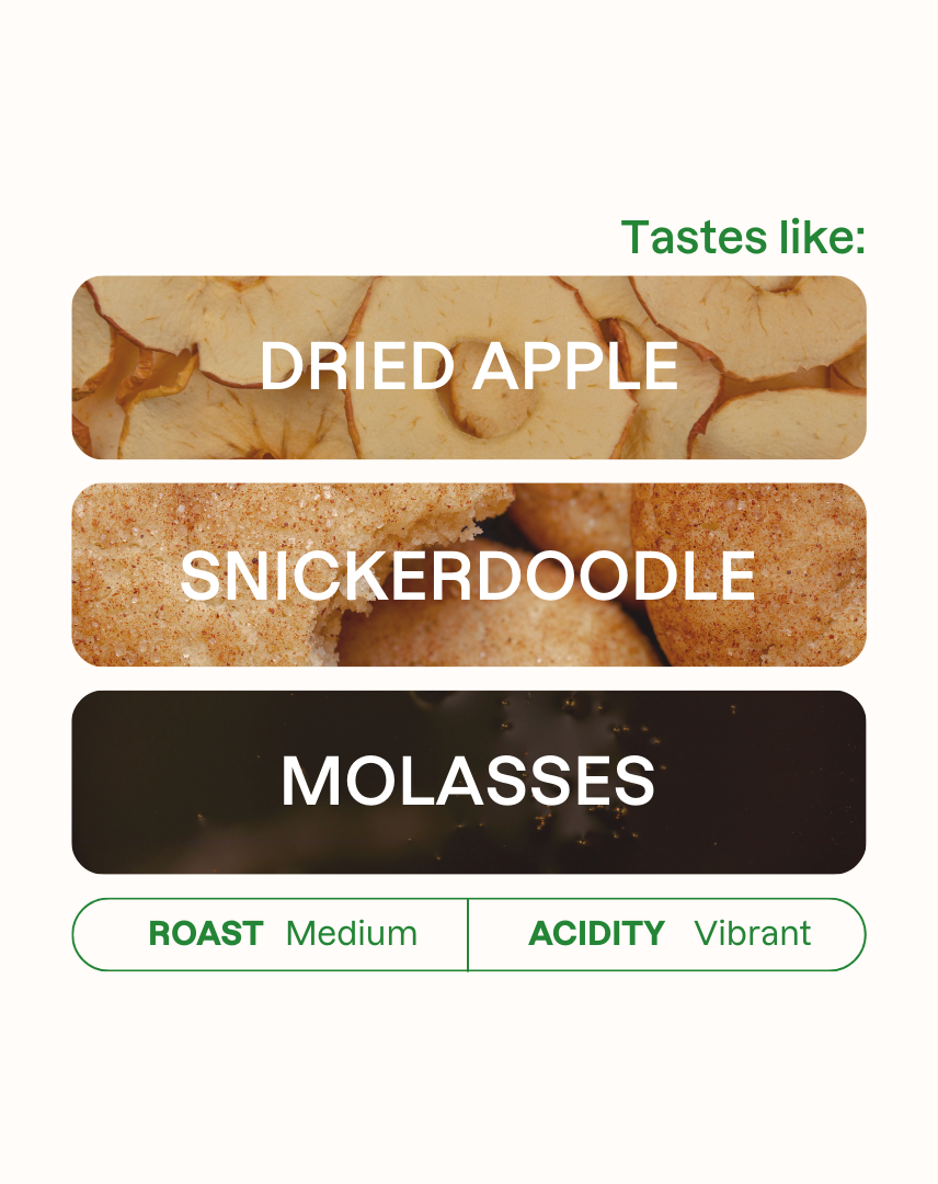 Figgy Pudding Holiday Blend Espresso