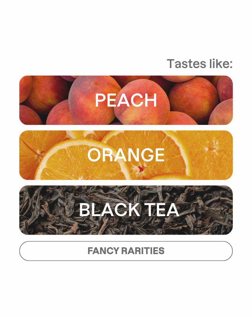 Maximino Gutiérrez Tejada