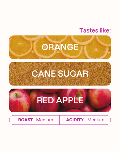 Tasting note graphic for Bambito Estate filter coffee highlighting Orange, Cane Sugar, and Red Apple flavors.