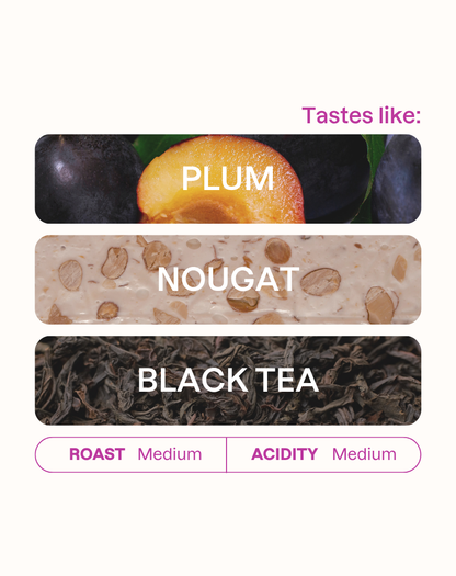 Tasting note graphic for Carmen Estate coffee highlighting Plum, Nougat, and Black Tea flavors.