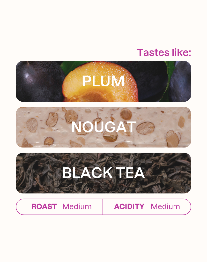 Tasting note graphic for Carmen Estate coffee highlighting Plum, Nougat, and Black Tea flavors.