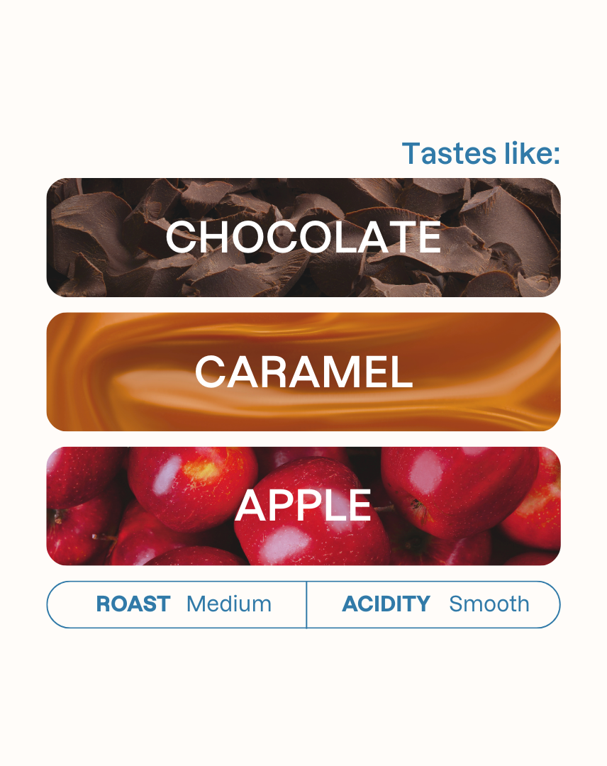 Tasting note graphic for C.I. Racafe Swiss Water Decaf filter coffee highlighting Chocolate, Caramel, and Apple flavors