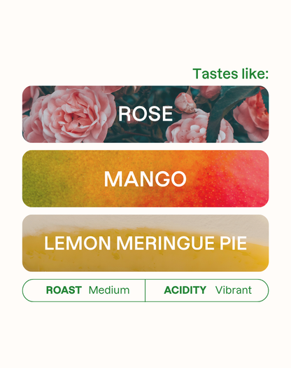 Tasting note graphic for Easy Mode coffee highlighting Rose, Mango, and Lemon Meringue Pie flavors