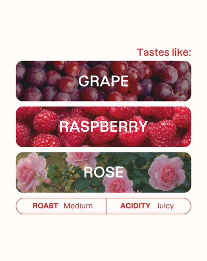 Tasting note graphic for El Samán coffee highlighting Grape, Raspberry, and Rose flavors.