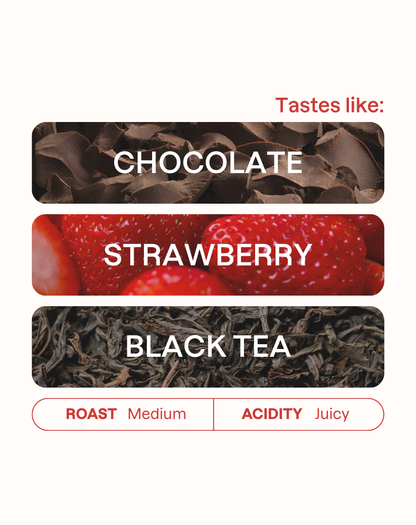 Tasting note graphic for Elida Estate coffee highlighting Chocolate, Strawberry, and Black Tea flavors.
