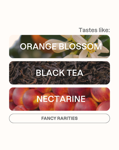 Tasting note graphic for Finca Deborah Terroir filter coffee highlighting Orange Blossom, Black Tea, and Nectarine flavors