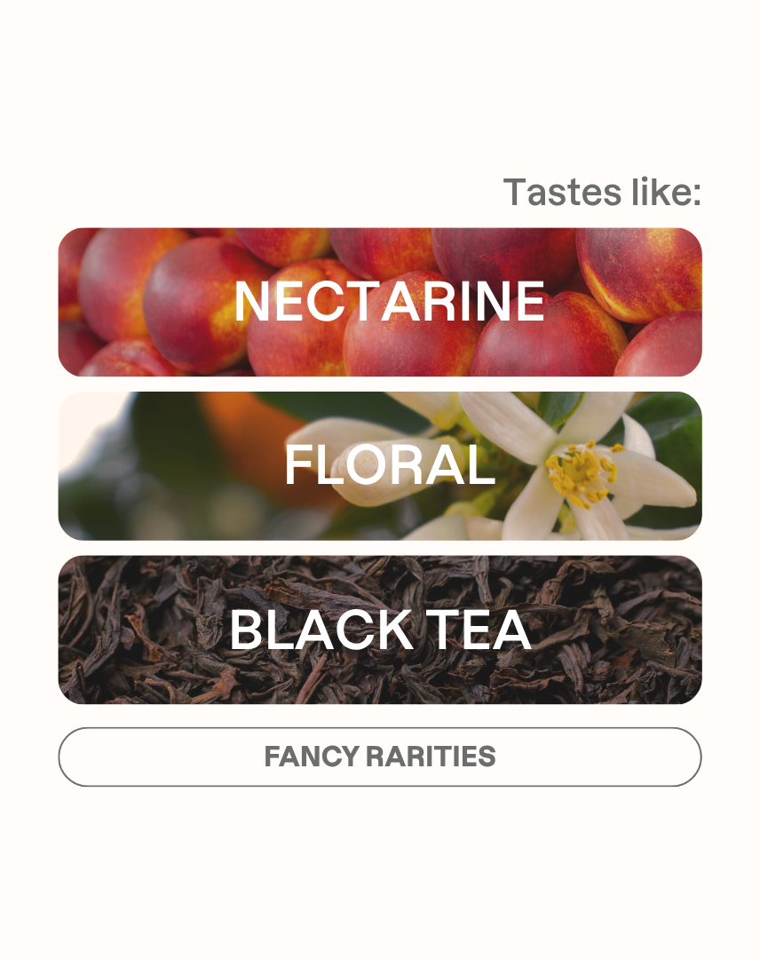 Tasting note graphic for Finca Takesi Gesha filter coffee highlighting Nectarine, Floral, and Black Tea flavors.