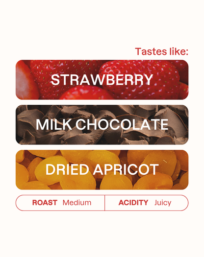 Tasting note graphic for Gedeb Lalesa coffee highlighting Strawberry, Milk Chocolate, and Dried Apricot flavors.