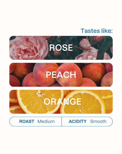 Tasting note graphic for Granja Paraiso 92 Decaf coffee highlighting Rose, Peach, and Orange flavors.