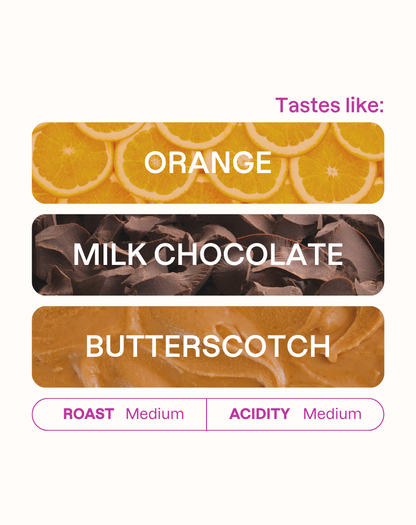 Tasting note graphic for Jairo Arcila filter coffee highlighting Orange, Milk Chocolate, and Butterscotch flavors.