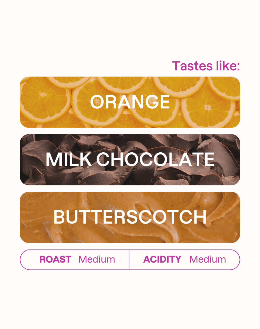 Tasting note graphic for Jairo Arcila filter coffee highlighting Orange, Milk Chocolate, and Butterscotch flavors.