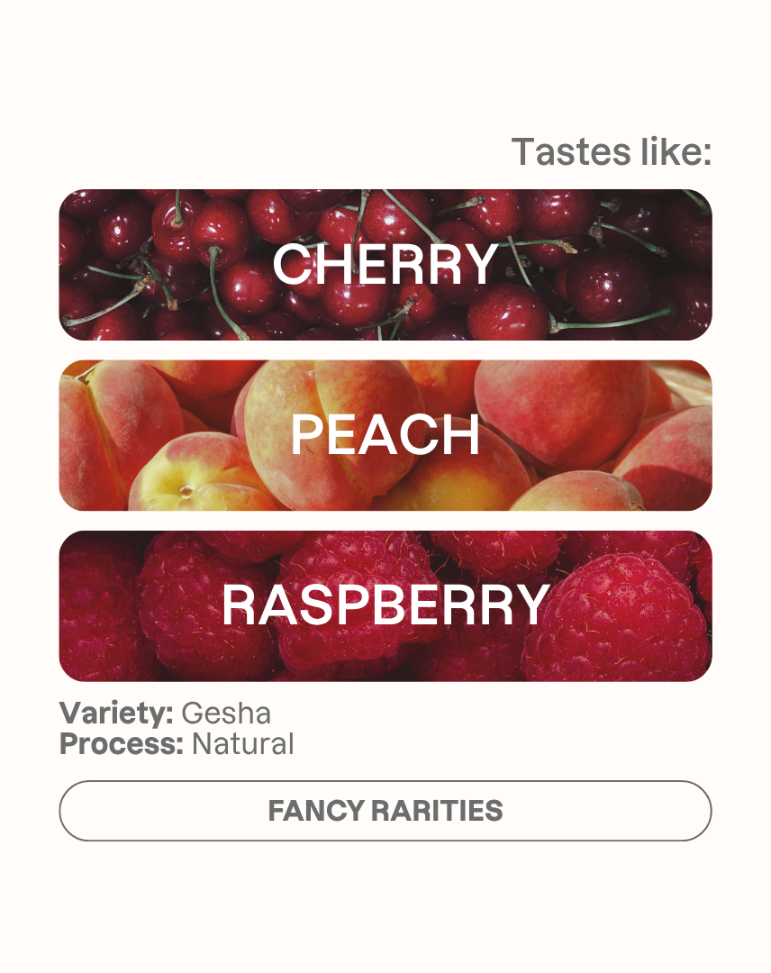 Tasting note graphic for Janson 908 filter coffee highlighting Cherry, Peach, and Raspberry flavors.
