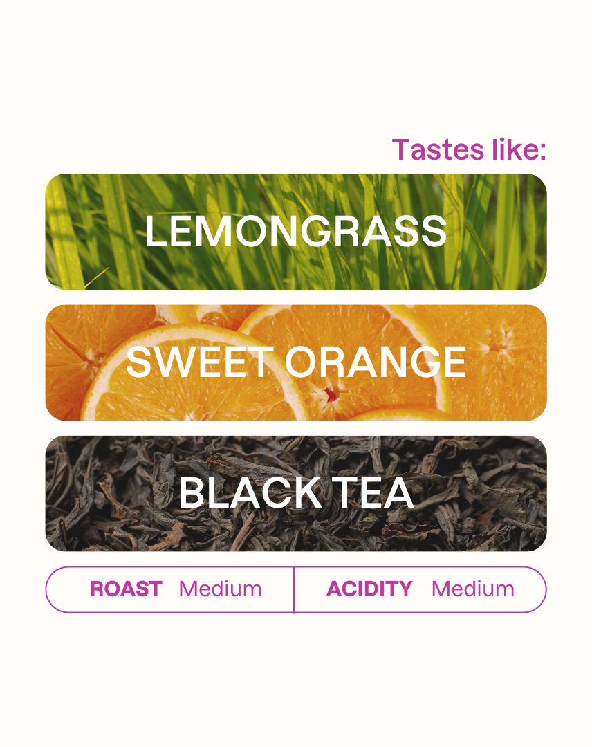 Tasting note graphic for Juan Medina coffee highlighting Lemongrass, Sweet Orange, and Black Tea flavors.