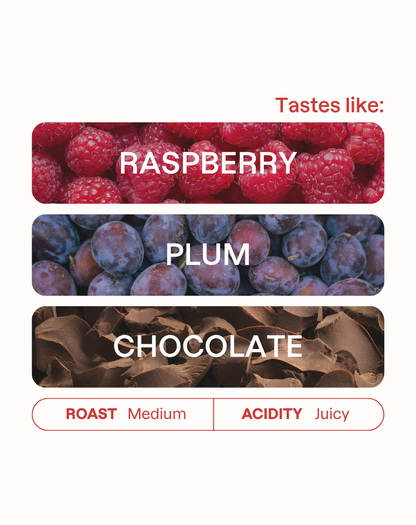 Tasting note graphic for Luis Choquehuanca Natural coffee highlighting Raspberry, Plum, and Chocolate flavors