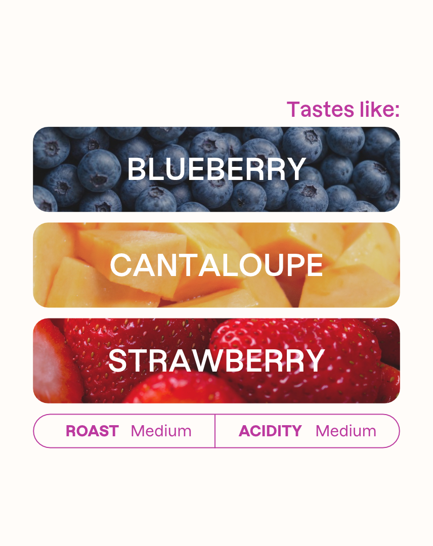 Tasting note graphic for Mwirua Gathambi AA filter coffee highlighting Blueberry, Cantaloupe, and Strawberry flavors.