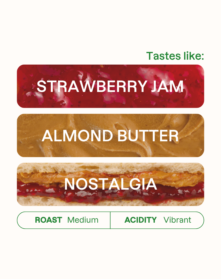 Tasting note graphic for Peanut Butter Jelly Time coffee highlighting Strawberry Jam, Almond Butter, and Nostalgia flavors.
