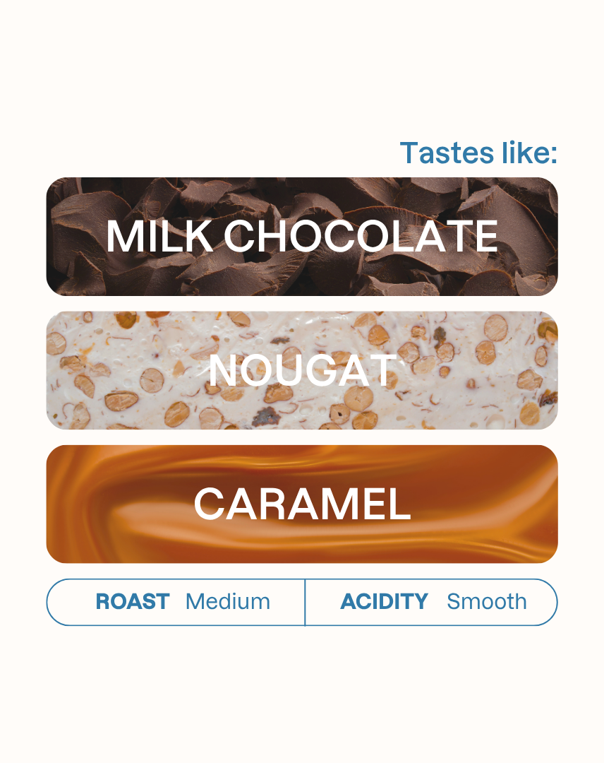Tasting note graphic for Popayan Decaf filter coffee highlighting Milk Chocolate, Nougat, and Caramel flavors