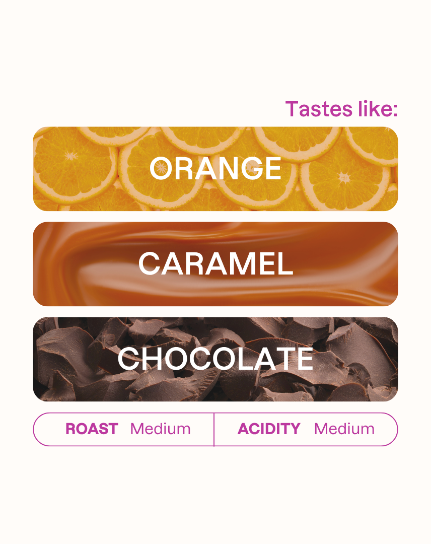 Tasting note graphic for San Vicente coffee highlighting Orange, Caramel, and Chocolate flavors.