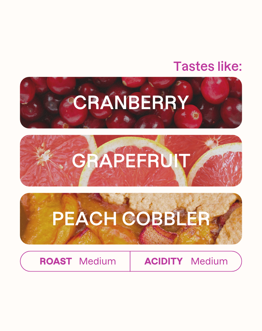 Tasting note graphic for Tegu AA filter coffee highlighting Cranberry, Grapefruit, and Peach Cobbler flavors.
