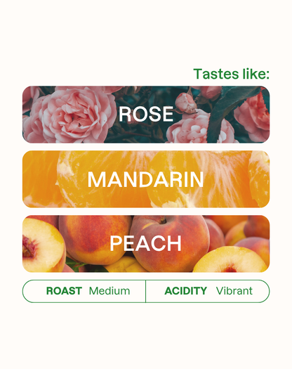 Quebraditas Sidra/Bourbon Espresso