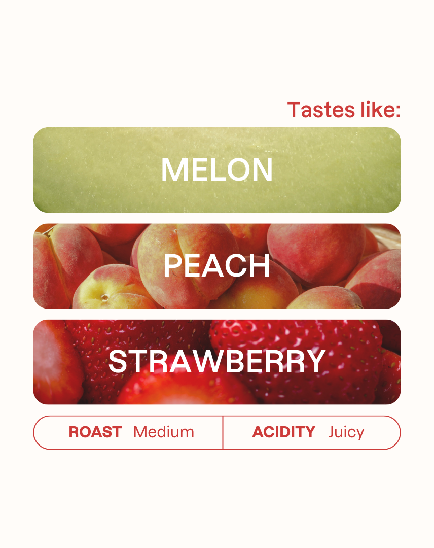 Alo Natural Espresso